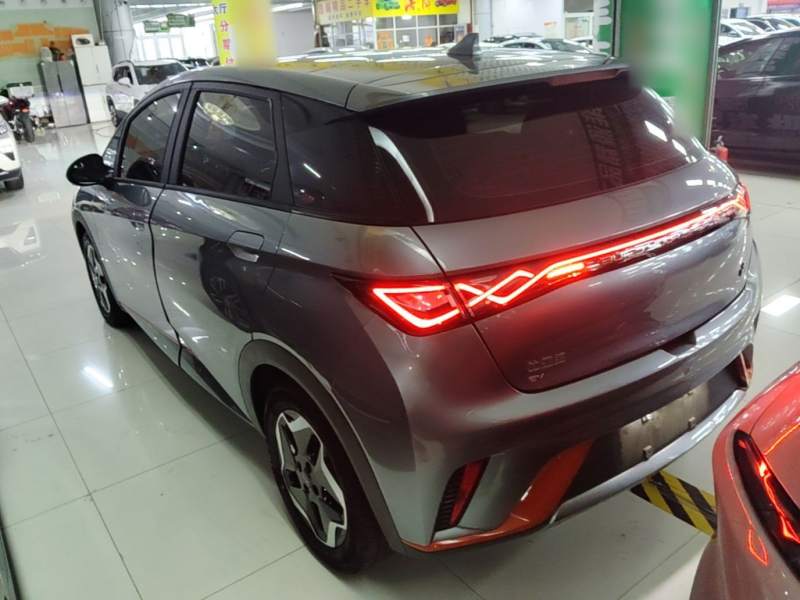 Used BYD Dolphin 2021 405 km Fashion Edition — 4