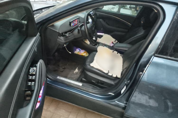 Used Ford Mustang Mach-E 2021 AION Y Plus Rear-Drive Luxury Edition (Long Range)
