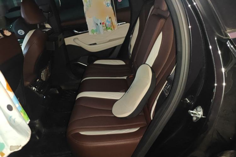 Used Geely Auto Monjaro L 2021 2.0TD DCT EVO Two-Wheel Drive Prestige Version Left Rear Seat