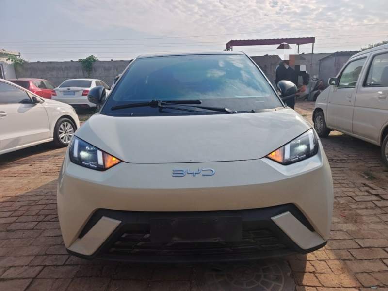 Used BYD Seagull 2025 305 km Free Version — 2
