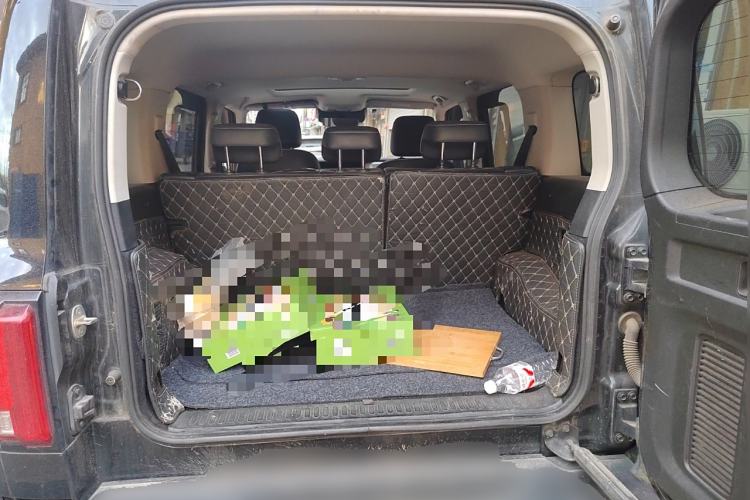 Used Tank 300 2021 Off-Road Edition 2.0T Challenger