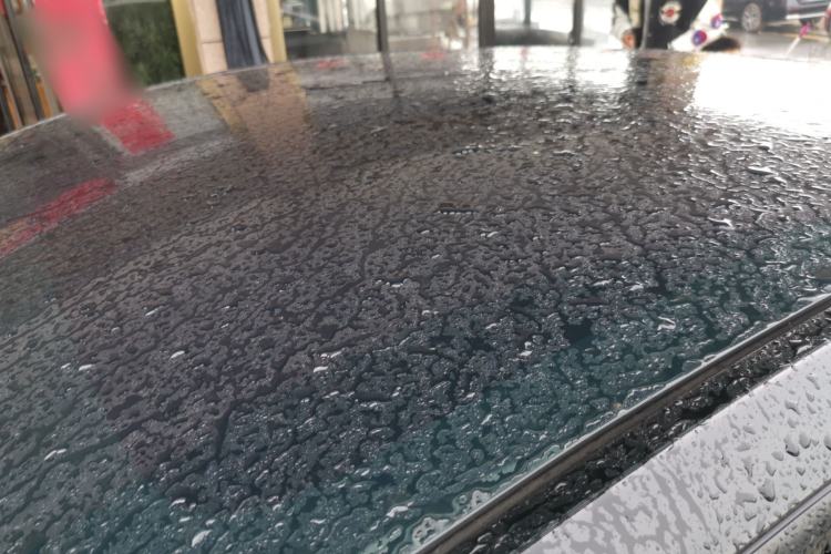 Used Tesla Model Y 2021 Long-Range All-Wheel-Drive Version Roof