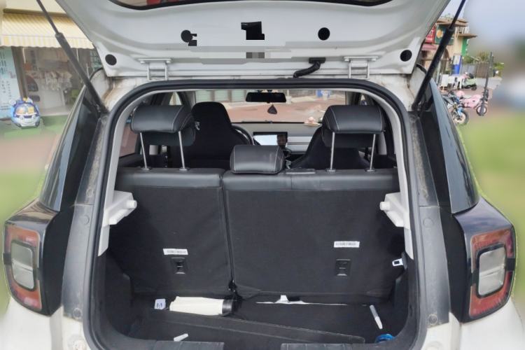 Used SOL E10X 2022 Flower Fairy Design Four-Leaf Clover Trunk