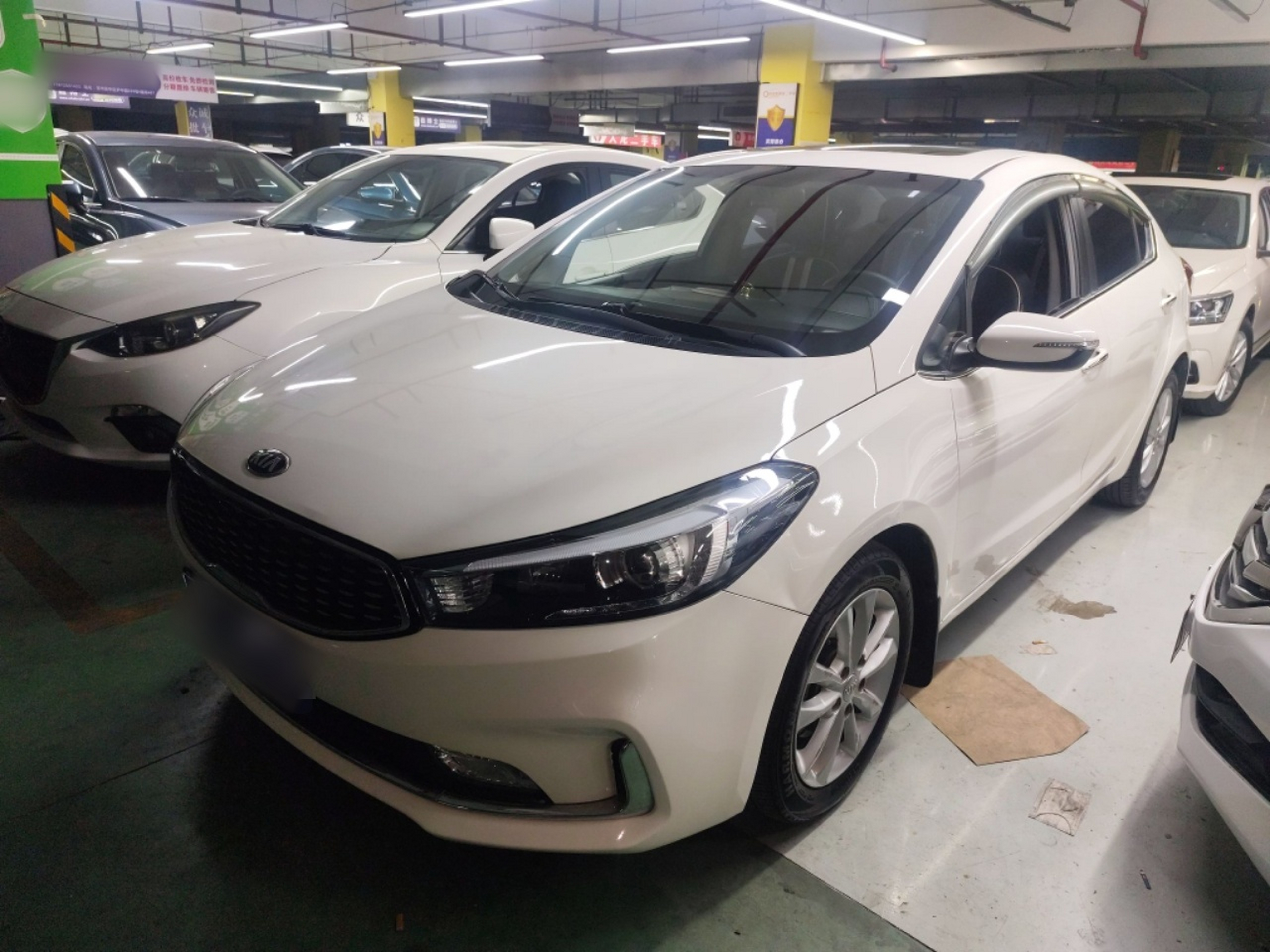 Parte inferior delantera