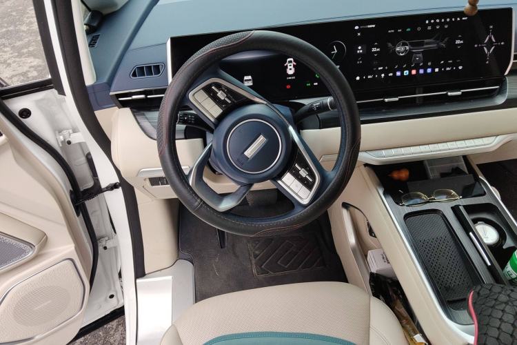 Used Wey Gaoshan 2023 Four-Wheel Drive Flagship Edition
