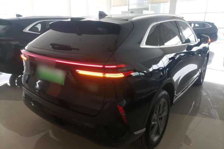 Used Wey Mocha New Energy 2024 Hi4 Four-Wheel Drive Long-Range Version