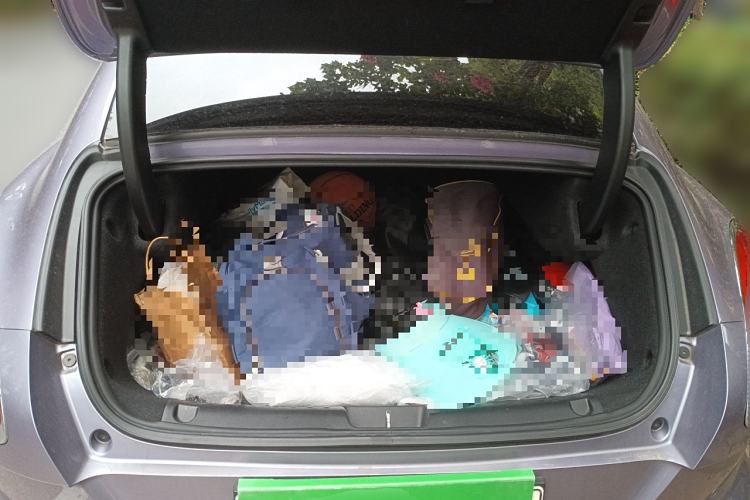 Used ORA Lightning Cat 2022 555 km Luxury Edition