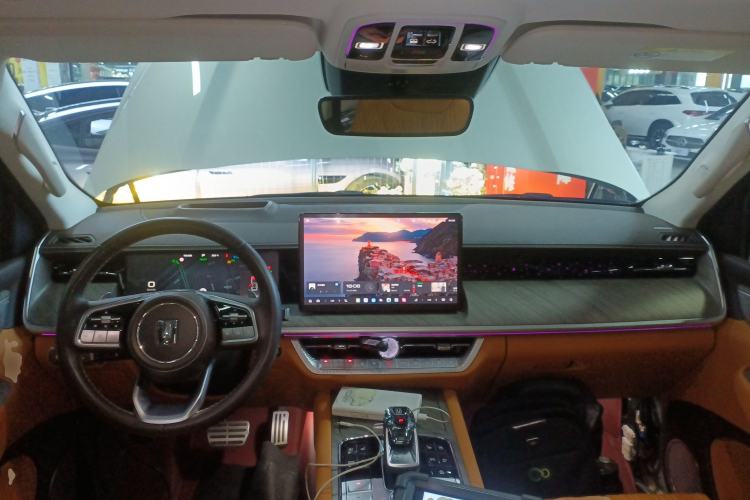 Used Tank 500 New Energy 2023 Hi4-T Center Console