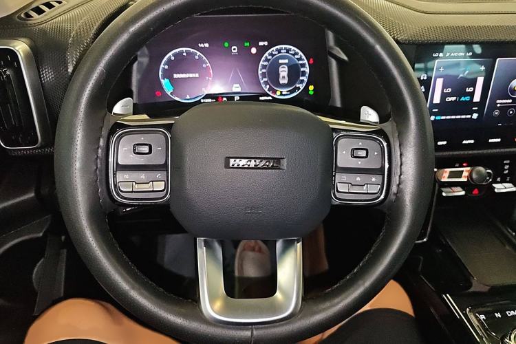 Used Haval DARGO 2021 2.0T DCT 4x4 Chinese Rural Dog Edition
