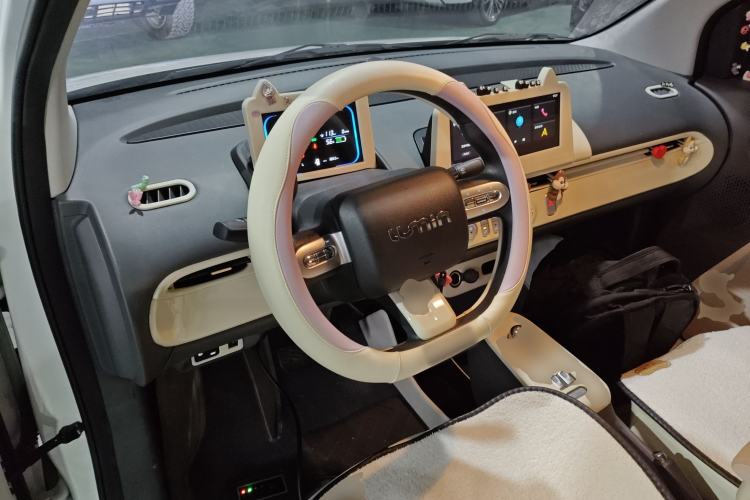 Used Qiyuan Lumin 2023 205km Xiangqin Version
