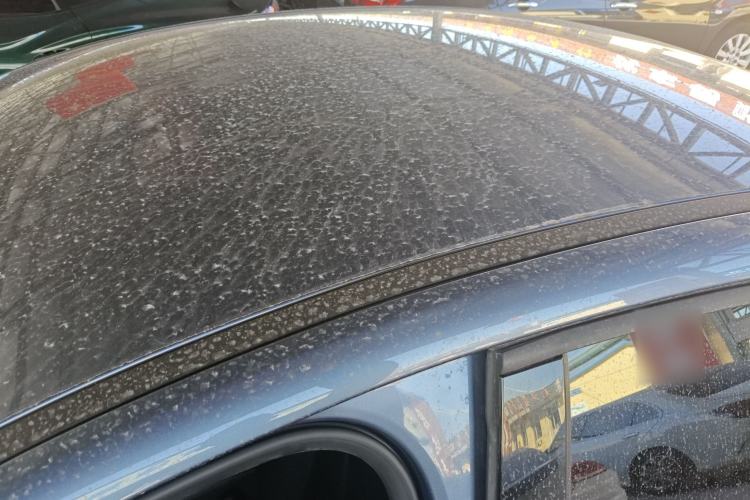 Used BYD Seal 05 DM-i 2025 DM-i Smart Drive 55KM Luxury Model
