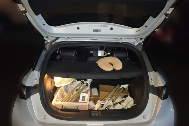 Used BYD Dolphin 2021 405 km Free Version
