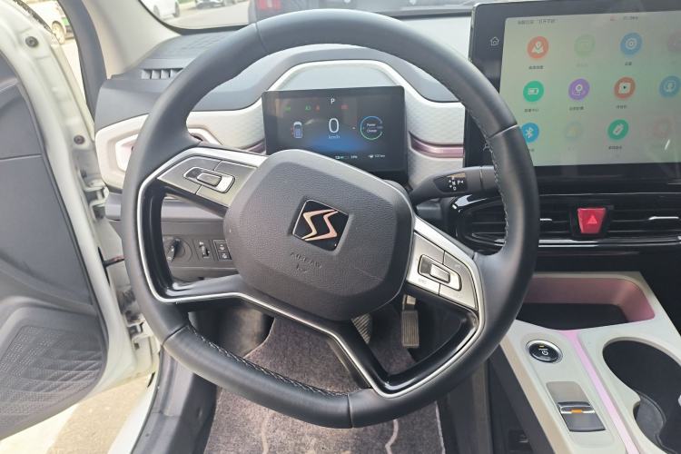 Used SOL E10X 2022 Flower Fairy Design Sunflower