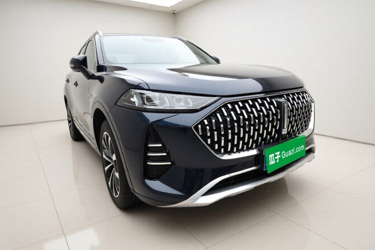 Used Wey Mocha 2021 2.0T Two-Wheel-Drive Premium Edition
