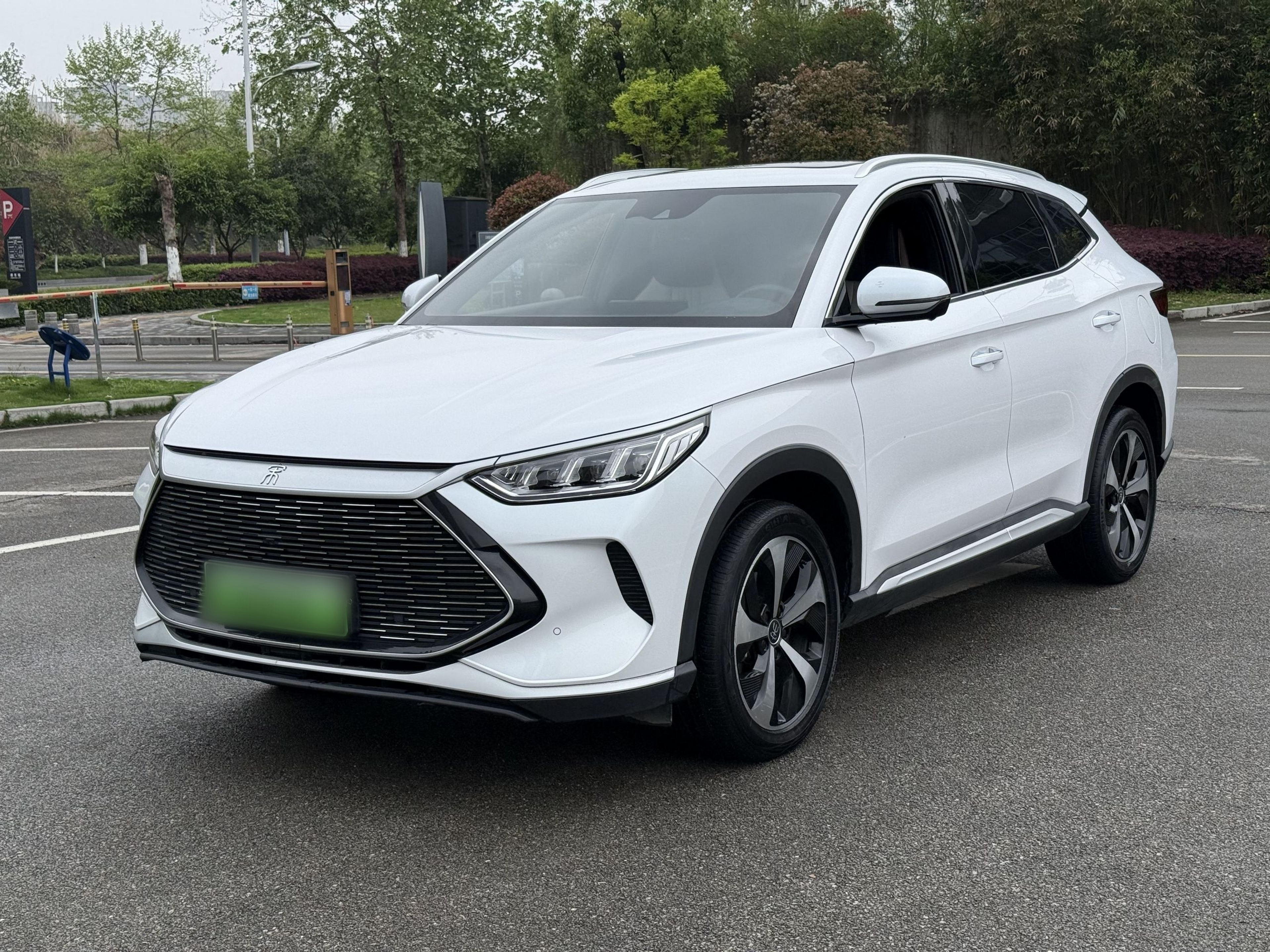 Parte inferior delantera