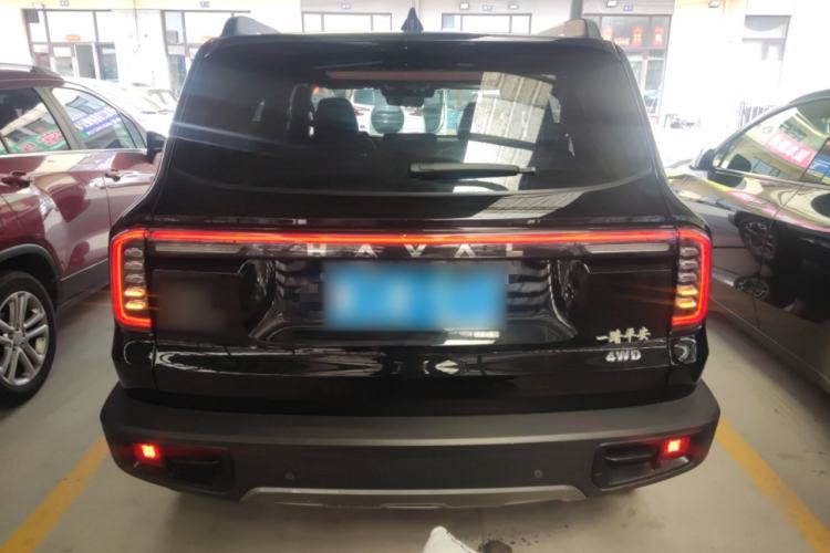 Used Haval DARGO 2024 2.0T DCT Chinese Rural Dog Edition
