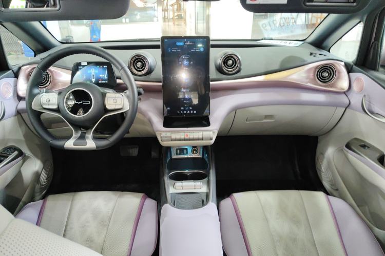 Used BYD Dolphin 2023 420 km Fashion Edition Center Console