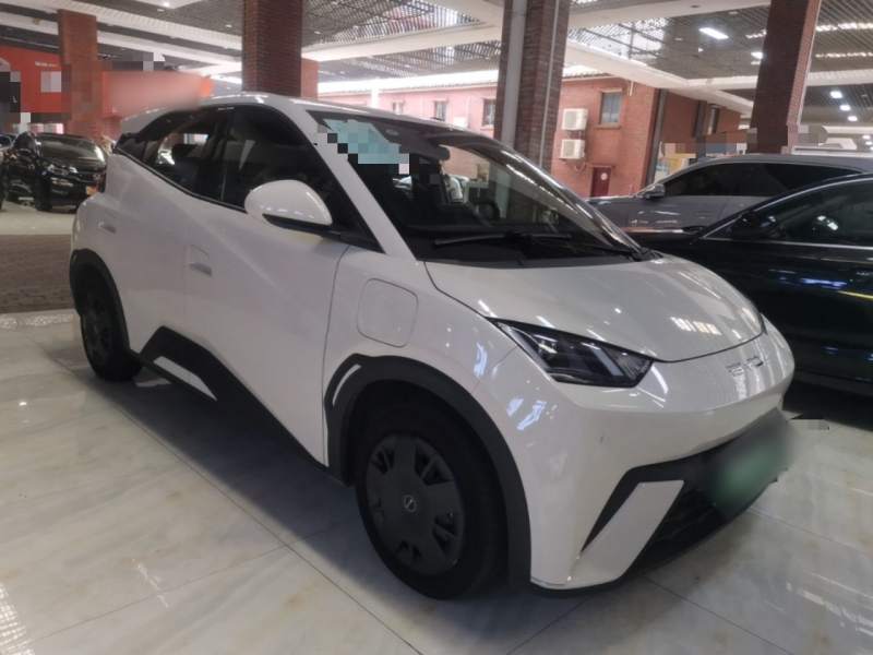 Used BYD Seagull 2024 Honor Edition 305km Dynamic Version — 3