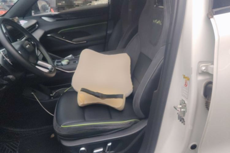 Used Haval H6S 2022 2.0T Two-Wheel Drive ZhiRun Version