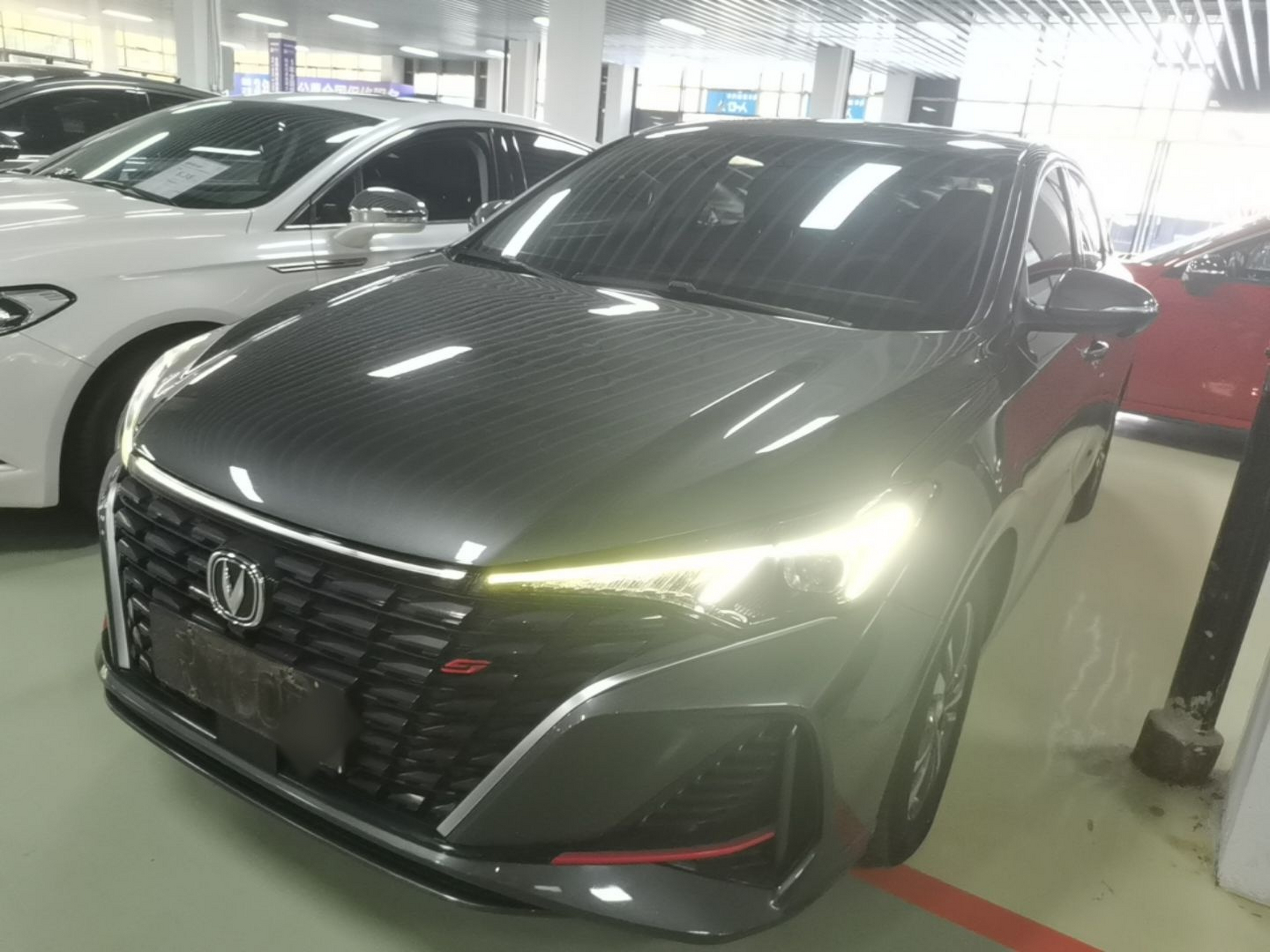 Under Front Bumper