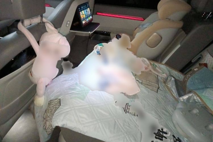 Used Zeekr 7X 2025 75 kWh Rear-Wheel Drive Intelligent Driving Version
