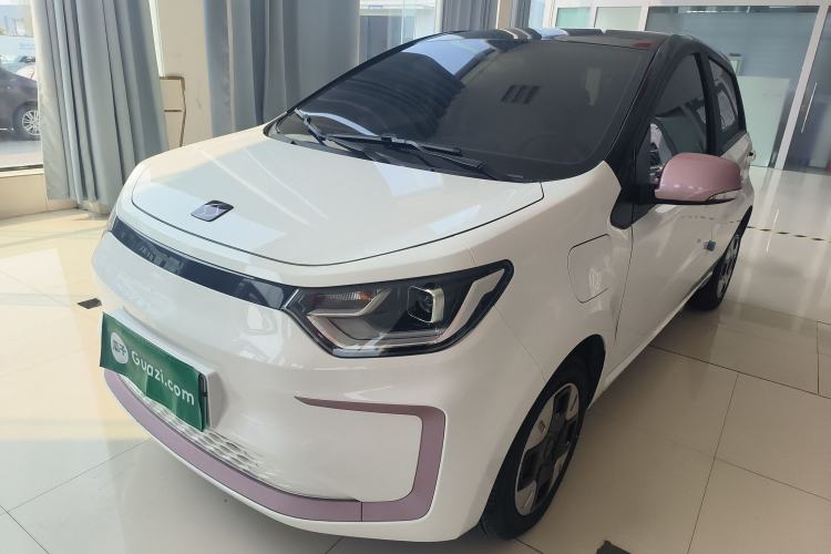 Used SOL E10X 2022 Flower Fairy Design Four-Leaf Clover