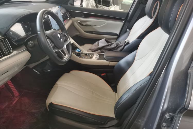 Used BYD Song PLUS New Energy 2021 DM-i 110KM Flagship PLUS Left Front Seat