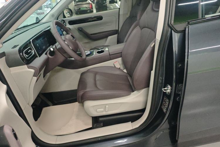 Used Leapmotor C11 2023 Pure Electric 500 Comfort Edition Left Front Seat