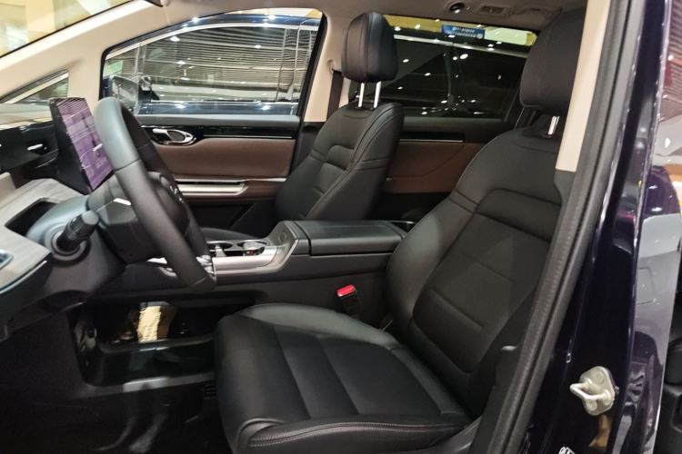 Used GAC Trumpchi E8 New Energy 2024 150km MAX Left Front Seat