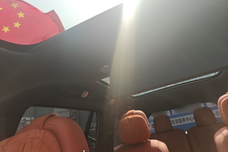 Used Li Auto L9 2024 Pro Model Headliner