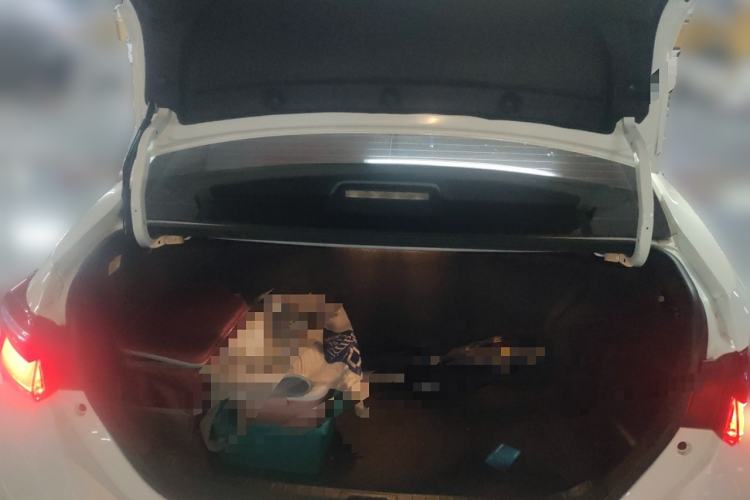 Used Toyota Corolla Hybrid E+ 2019 1.8L E-CVT Leading Edition