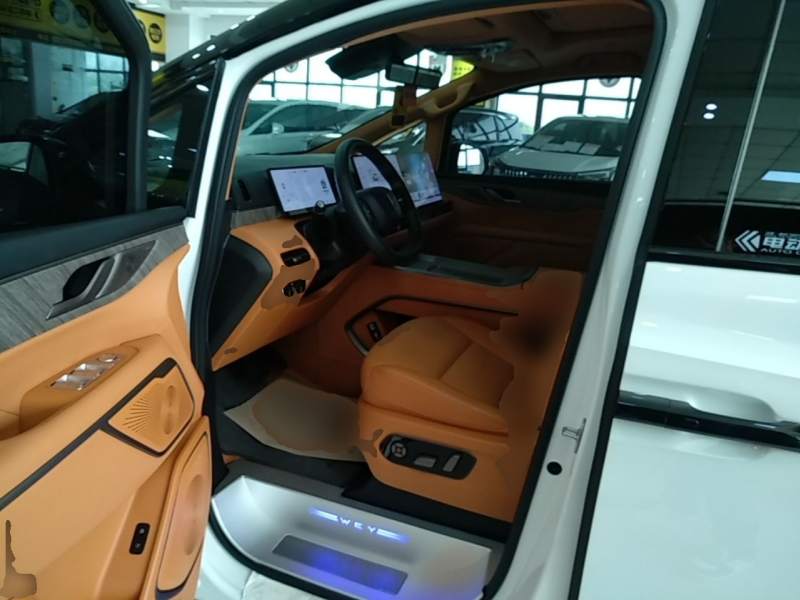 Used Wey Gaoshan 2025 Four-Wheel Drive Alpine 8 — 15