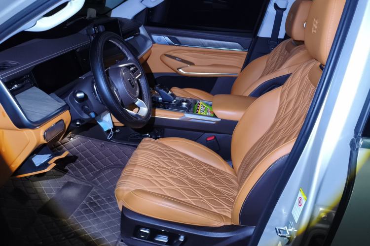 Used Tank 500 2022 3.0T Business Edition "Creation Realm" Design 5-Seater
