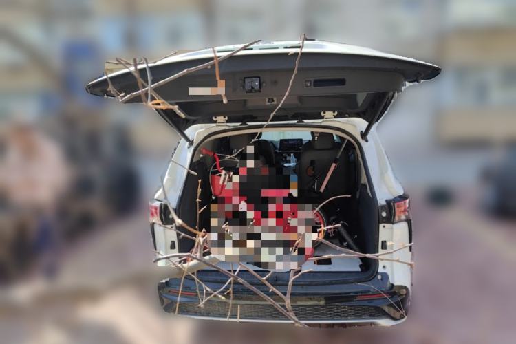 Used Toyota Granvia 2023 2.5L Hybrid Prestige PLUS Edition