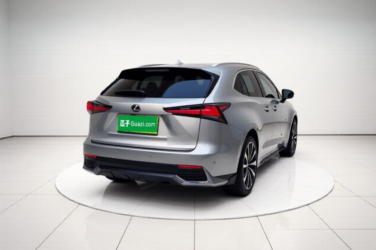 Used Lexus NX 2020 200 All-Wheel Drive Fēngshàng Version China VI Standard Exterior 4