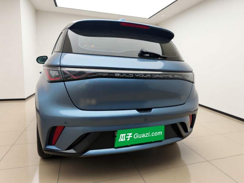 Used BYD Dolphin 2024 Honor Edition 420km Freedom Version — 3