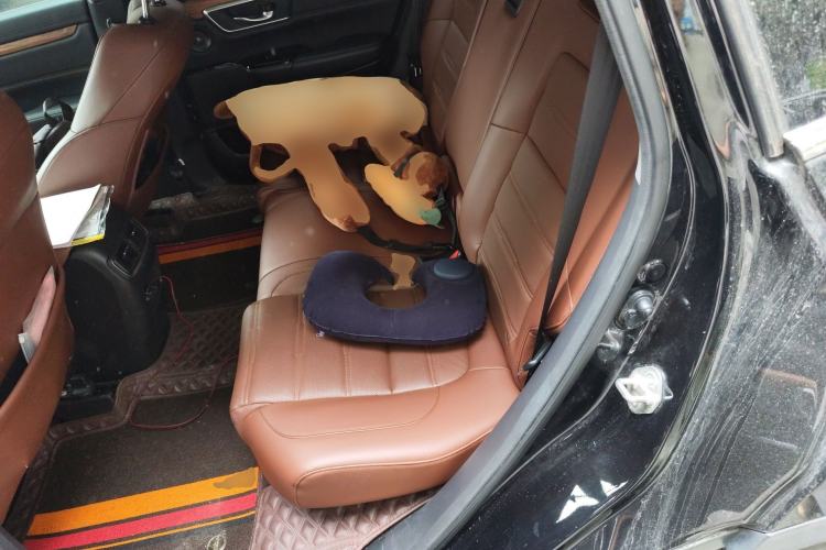 Used Honda CR-V 2021 240TURBO CVT 2WD Fashion Edition Left Rear Seat