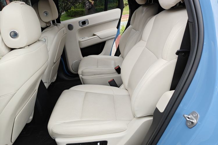 Used Li Auto L9 2022 Max model Left Rear Seat
