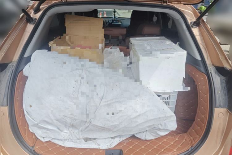 Used Acura CDX 2016 1.5T Two-Wheel Drive Deluxe Edition Trunk