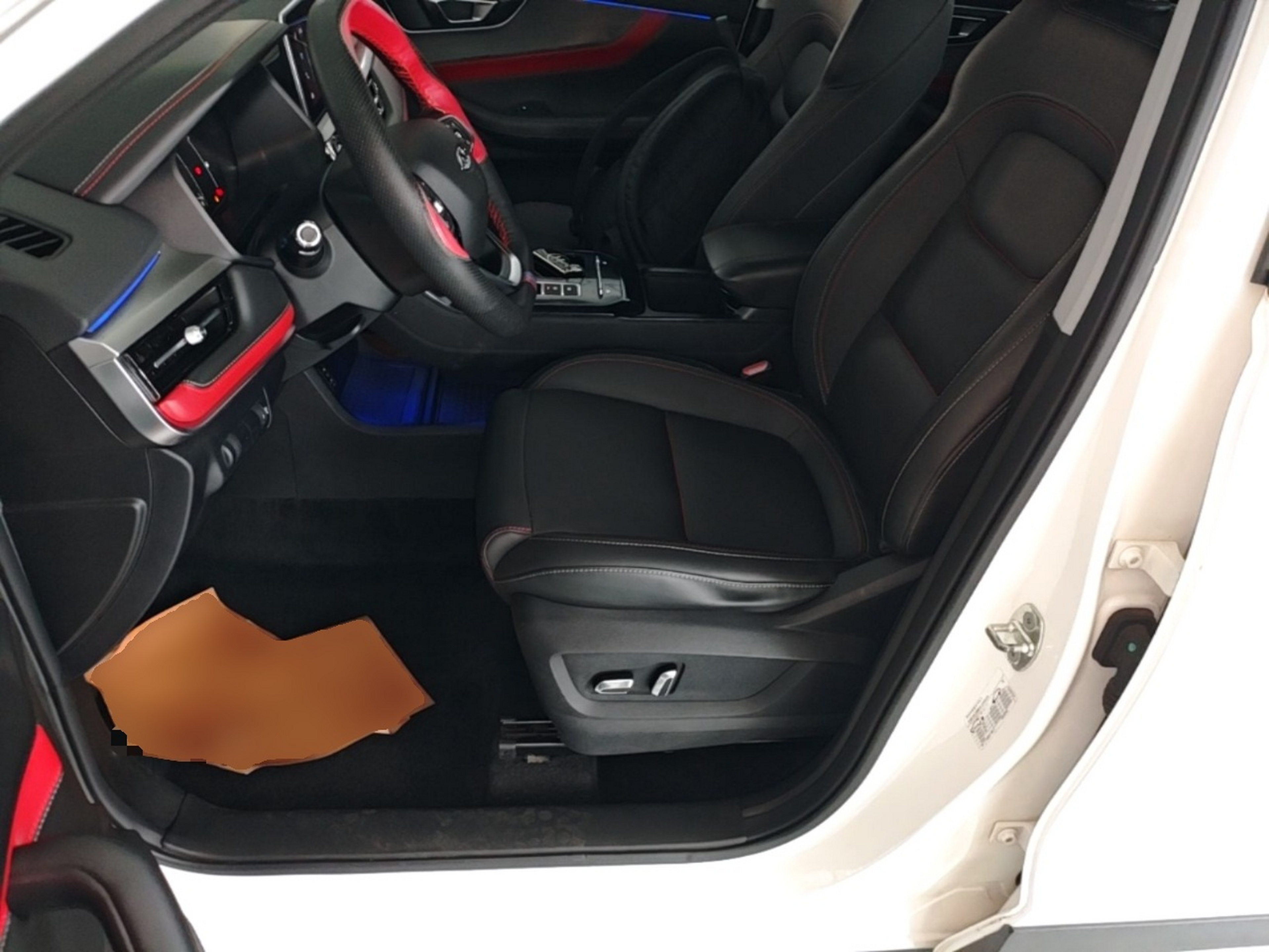Interior delantero