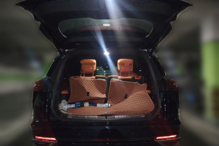 Used Wey Lanshan 2023 Four-Wheel Drive Ultra-Long Range Version
