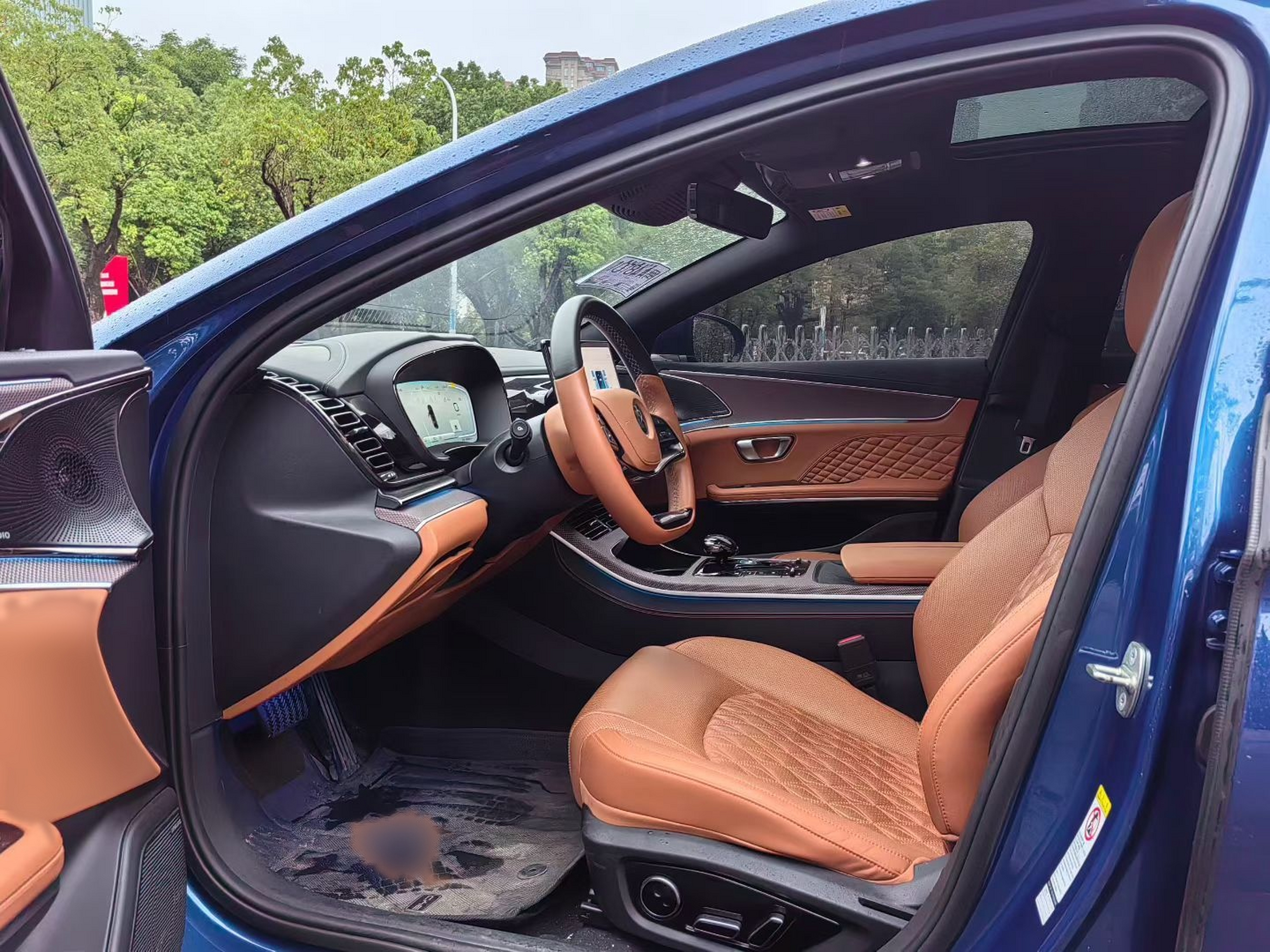 Interior delantero