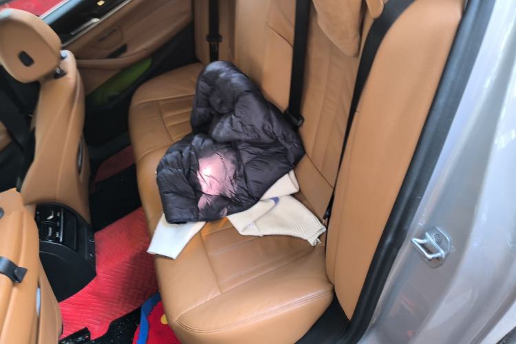 Used BMW 5 Series 2018 528Li Launch Special Edition