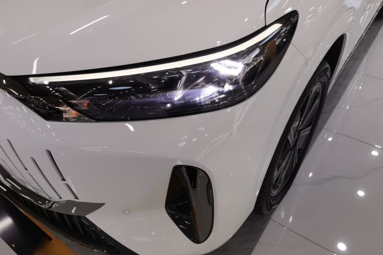 Used Chery Fengyun T10 2024 210 Luxury Edition
