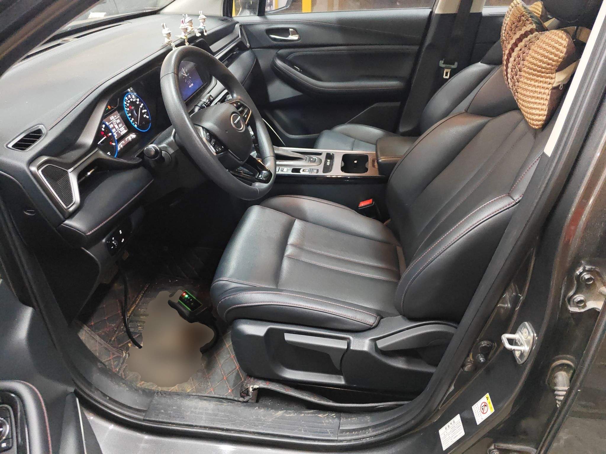 Interior delantero