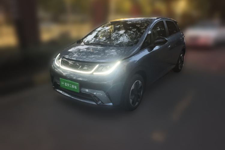 Used BYD Dolphin 2025 420km Free Edition