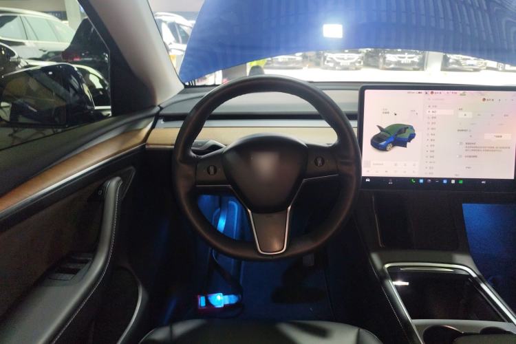 Used Tesla Model Y 2021 Long-Range All-Wheel-Drive Version