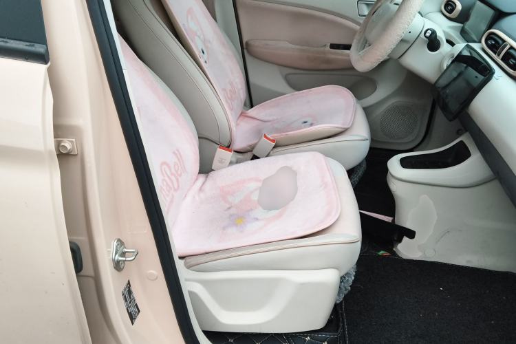 Used Leapmotor T03 2023 310 Lite Edition Right Front Seat