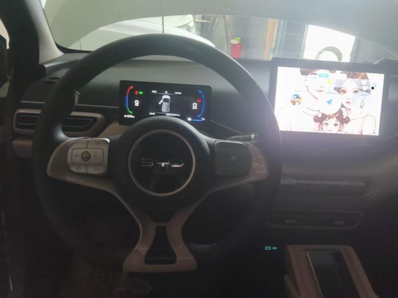 Used BYD Seagull 2025 305km Active Version — 10