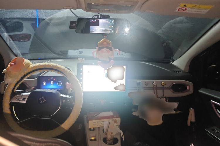 Used SOL E10X 2022 Flower Fairy Design Sunflower
